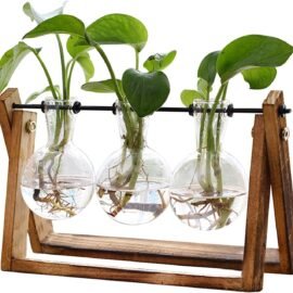 XXXFLOWER Plant Terrarium with Wooden Stand, Air Planter...