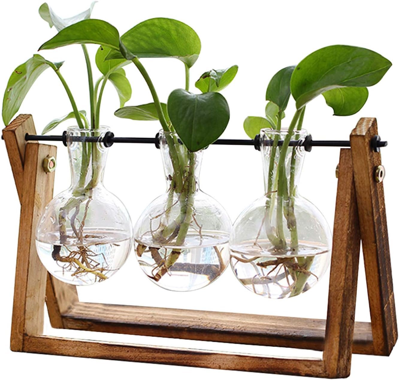 XXXFLOWER Plant Terrarium with Wooden Stand, Air Planter...